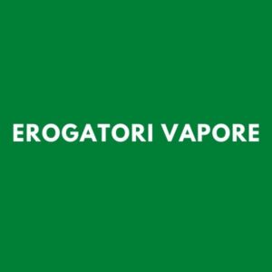 Erogatori Vapore