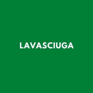 Lavasciuga